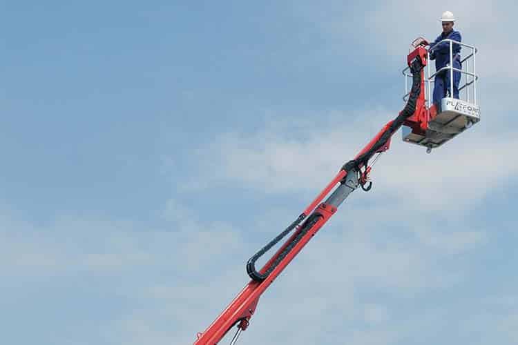 Platform Basket 15.75 image 7