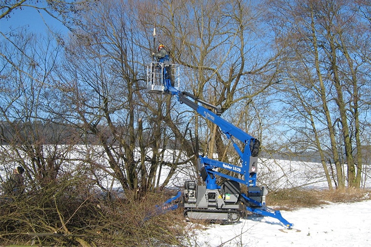 Platform Basket 15.75 image 4